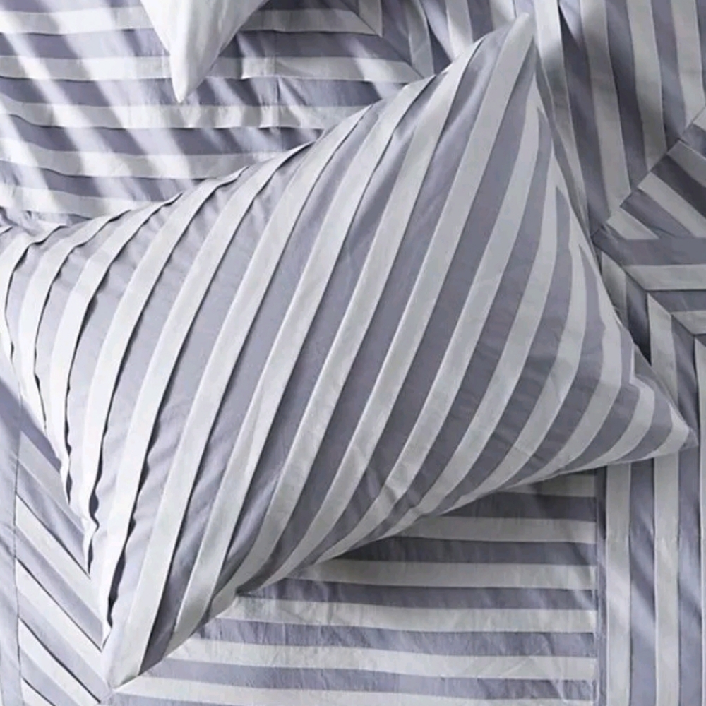 New Anthropologie Ansene standard shams